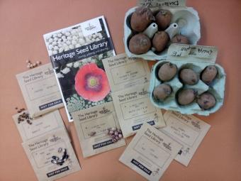 A sample of seeds and potatoes for Ration Garden
